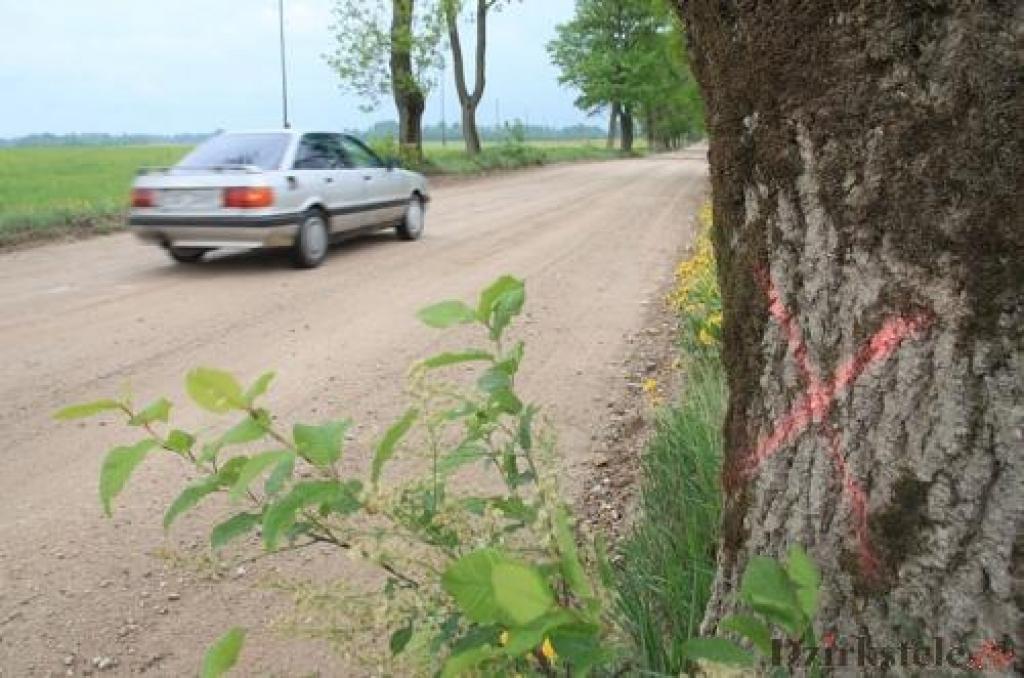 Koki vēl gaida spriedumu