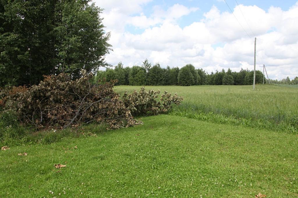Vēlas saskaņotību un darba kultūru