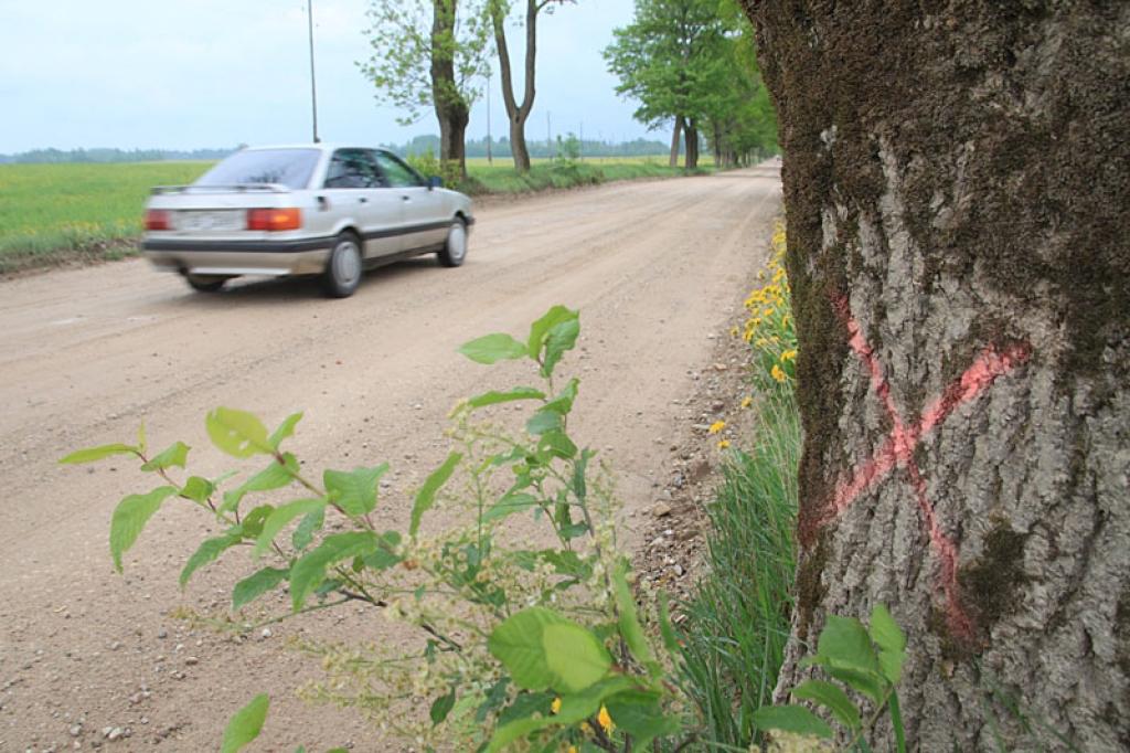 Nolemj nozāģēt apmēram 680 kokus