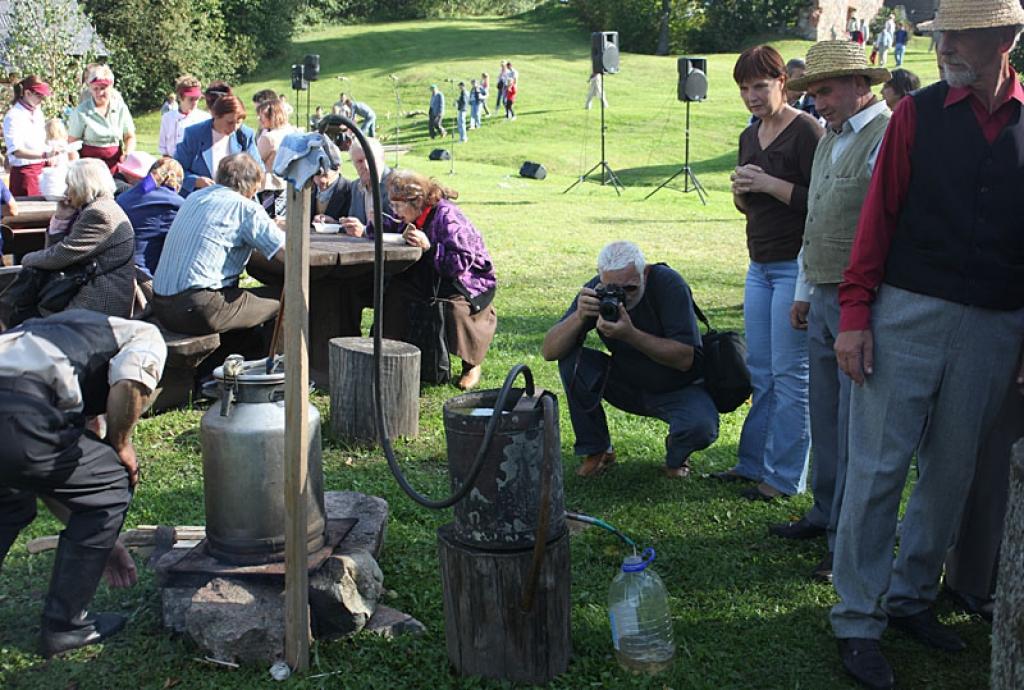 Drīkst vai nedrīkst dzīt kandžu?