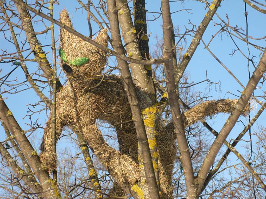 Skvērā apmetušies trīs runči un kaķene
