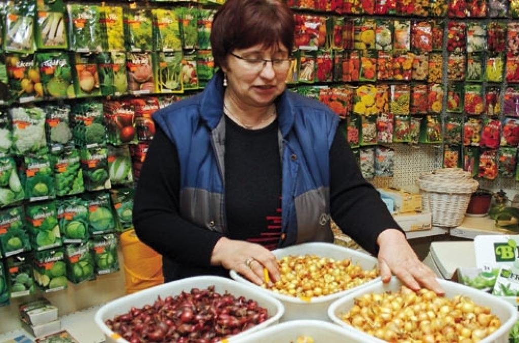 "Dzīvespriekam": Paprikas, tomāti, petūnijas...  (febr. nr.)