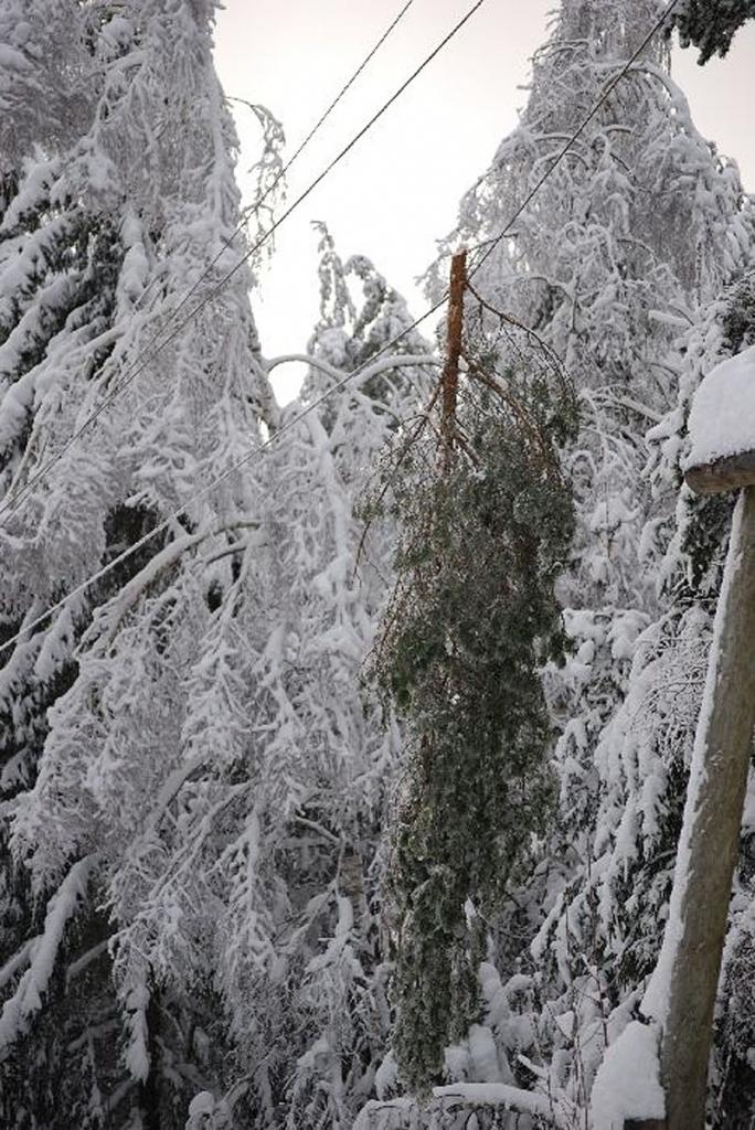 Negaisā zūd elektrība