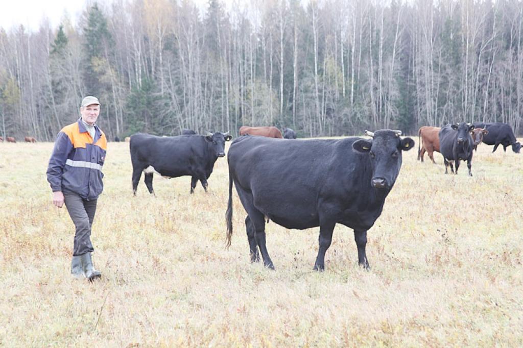 “Vidusmedņos”strādā, lai izdzīvotu un pastāvētu