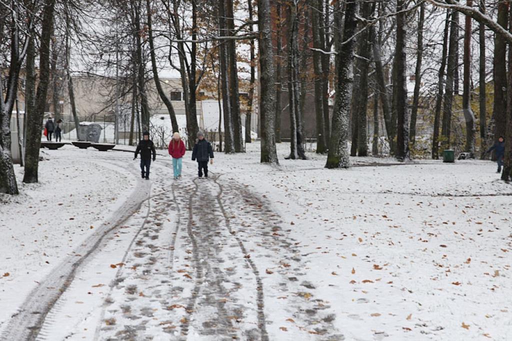 Ziema tik ātri vēl neatnāks