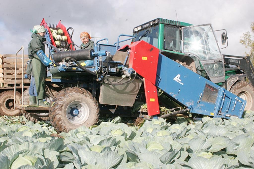 “Dimdiņi” palielinās ražošanas jaudu