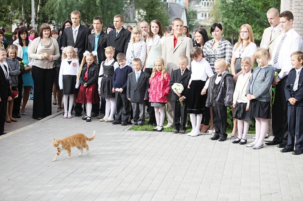 Turpināt mācīties vai doties strādāt?