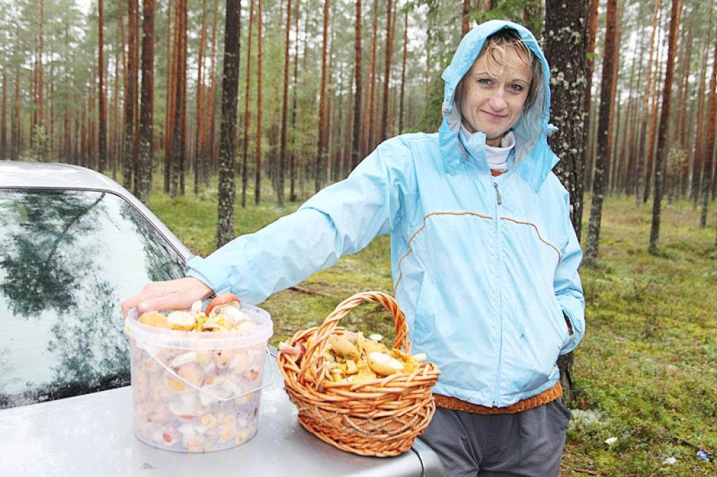 Sēņotājus lietus nebaida