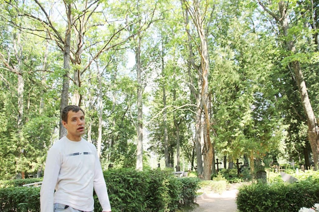 Vai nokaltušie koki ir neatrisināma problēma?
