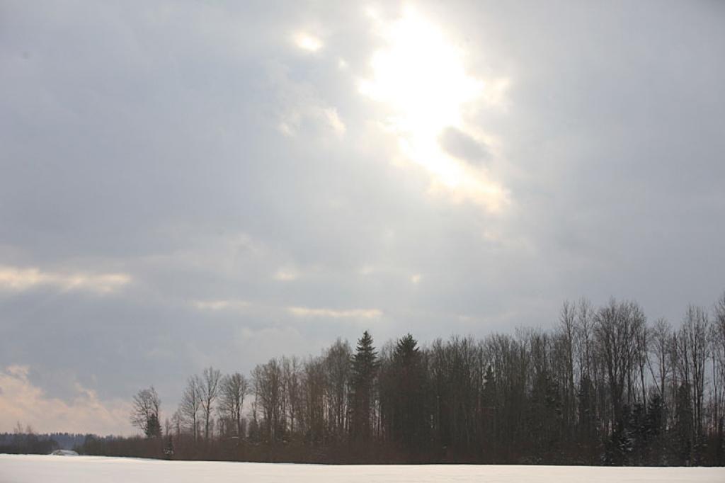 Februārī saglabāsies auksts laiks