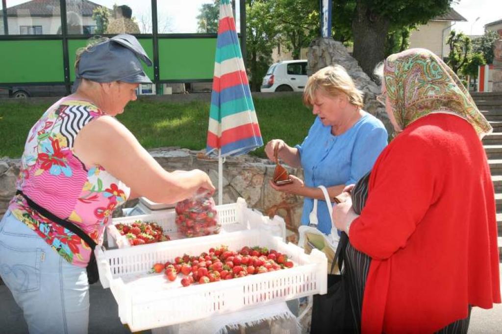 Pilsētniekiem piedāvā pirmās zemenes