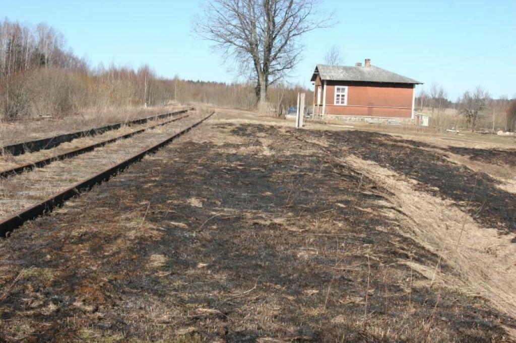 Siltu laiku gaida ar bažām