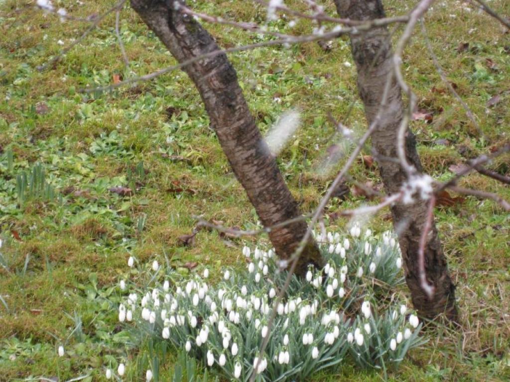 Aprīļa beigās gaisa temperatūra paaugstināsies līdz plus 19 grādiem