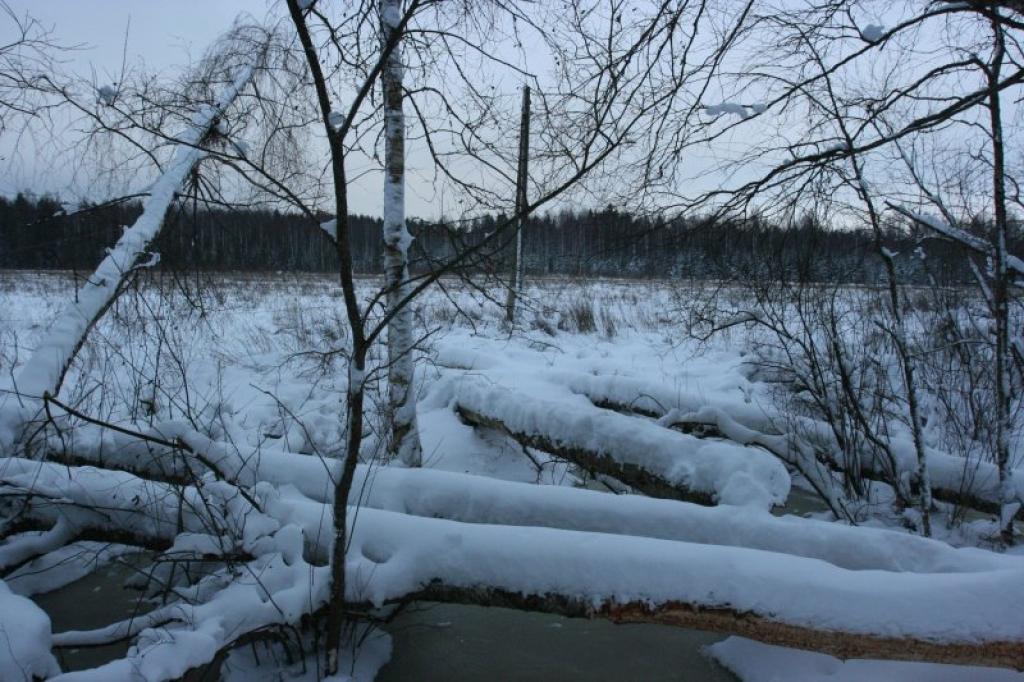 Decembrī vēsāks laiks gaidāms tikai mēneša beigās