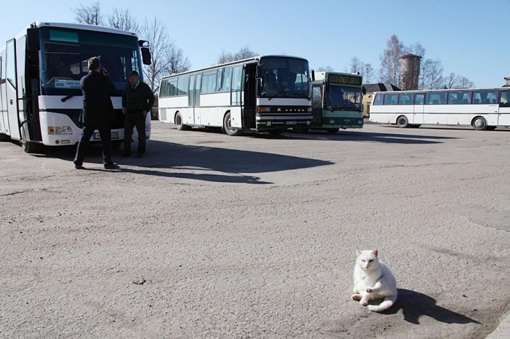 Kompensēs zaudējumus vietējās nozīmes sabiedriskā transporta maršrutos