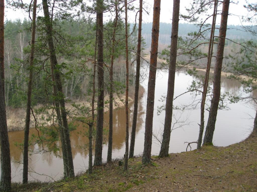 Šonedēļ gaisa temperatūra nedaudz pazemināsies