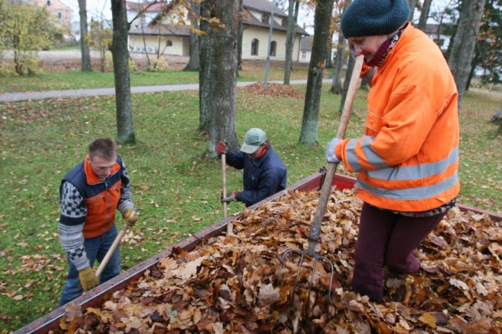 Sētnieki sākuši ikgadējo rudens cīņu ar koku lapām