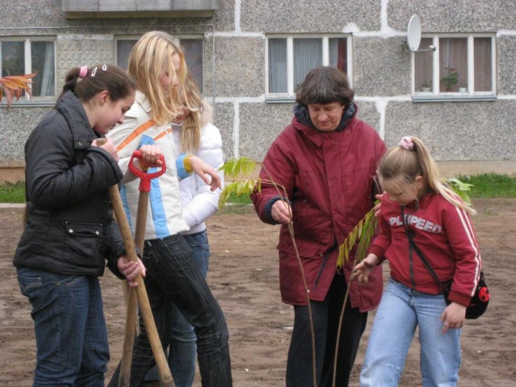 Gaidas stāda kokus