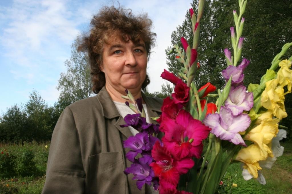 Gladiolas un asteres simbolizē 1.septembri