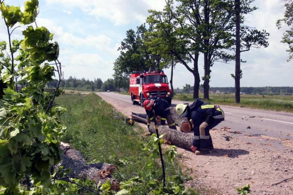 Vēja brāzmas nogāž koku