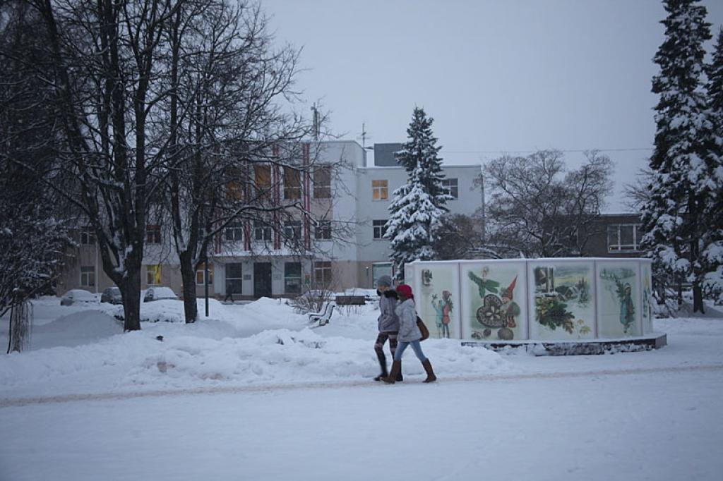 Rīt iemirdzēsies pilsētas centrālā egle