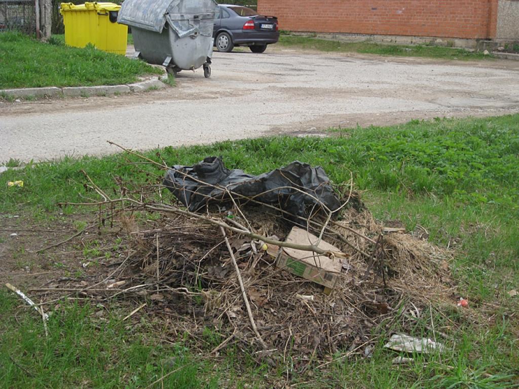 Pa ceļam uz darbu. Laukums aiz daudzīvokļu ēkas Ābeļu ielā 17b. 15.05.13