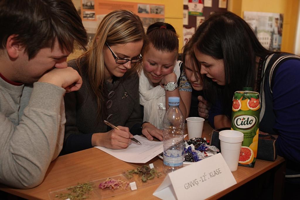 Erudītu konkurss novada skolu 10. līdz 12.klašu skolēniem. 30.01.13