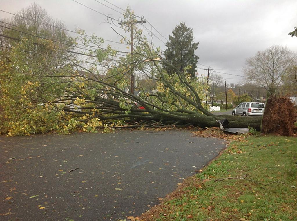 Pēc vētras "Sendija". ASV, Ņudžersijas štats, Scotch Plains pilsēta, kas atrodas stundas braucienā līdz Ņujorkai. Novembris, 2012.g.