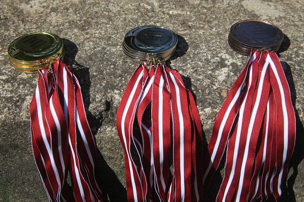 Pilsētas svētki: Viktora Kazāka piemiņas kausa izcīņa soļošanā un Kolektīva nūjošana instruktora pavadībā „Uznūjo vesels!". 27.07.12