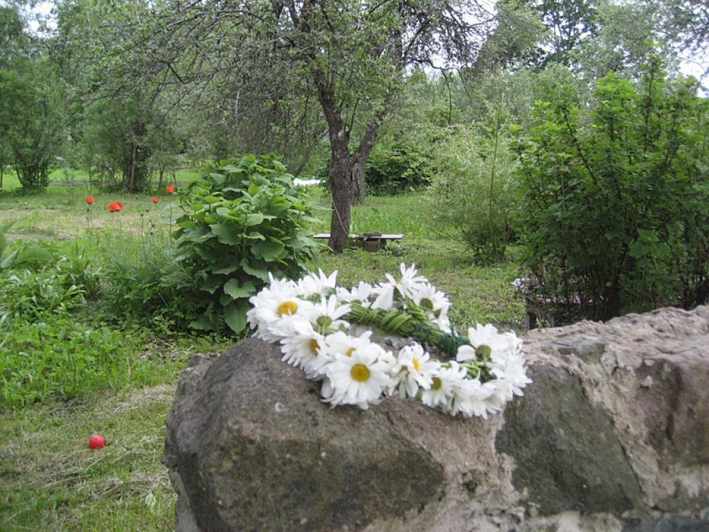 Gulbenes 2.vidusskolas jaunieši ieskandina vasaras saulgriežus "Priednieku" lauku sētā. 13.06.12