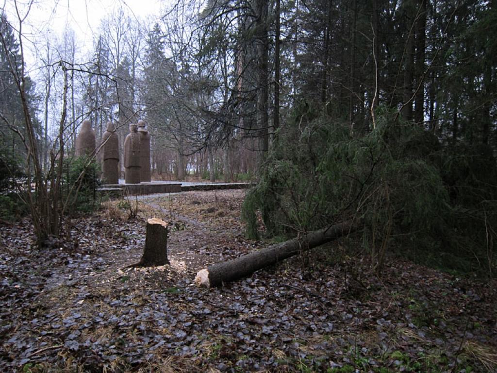 Spārītes parkā kāds ir palīdzējis stiprajam vējam nogāzt resnu egli. 29.12.11