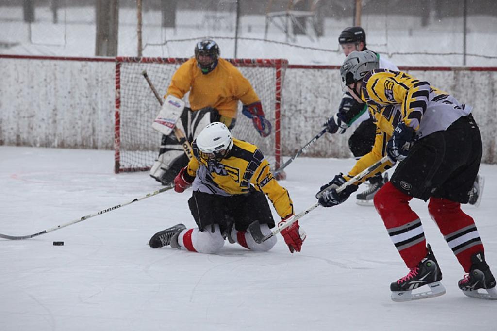 Hokeja turnīrs „Gulbene 2011". 23.01.11