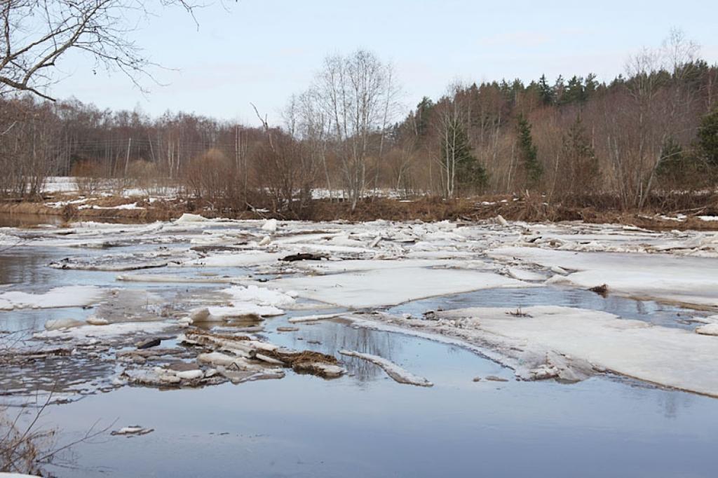 Pārplūst Gauja, Tirza... 29.03.10