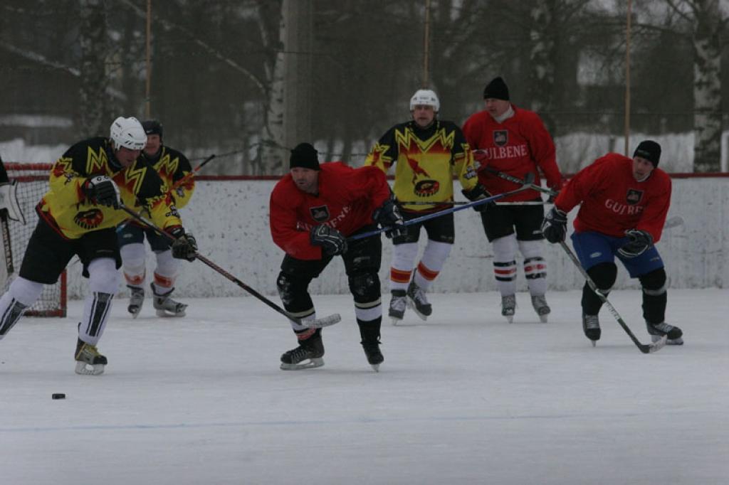 Gulbenes kausu izcīņa hokejā. 7.02.10