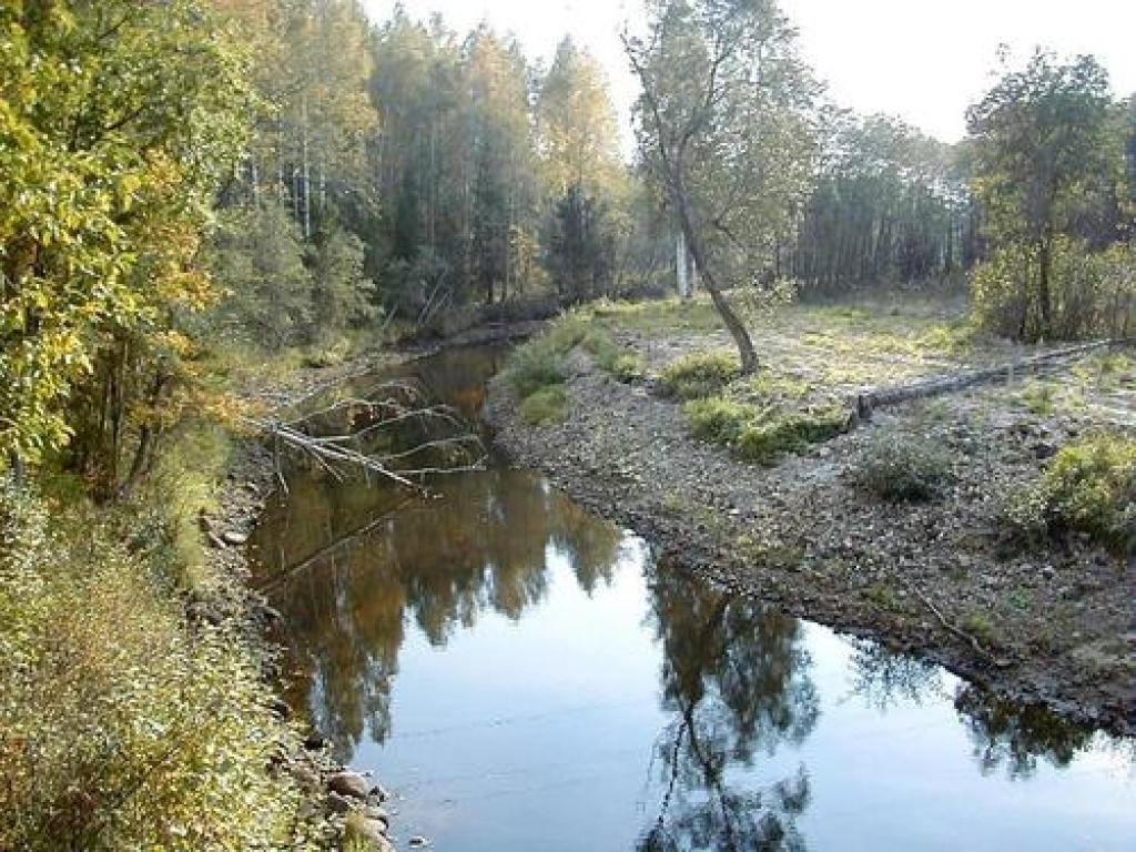 Līgodienā Galgauskā noslīkst vīrietis
