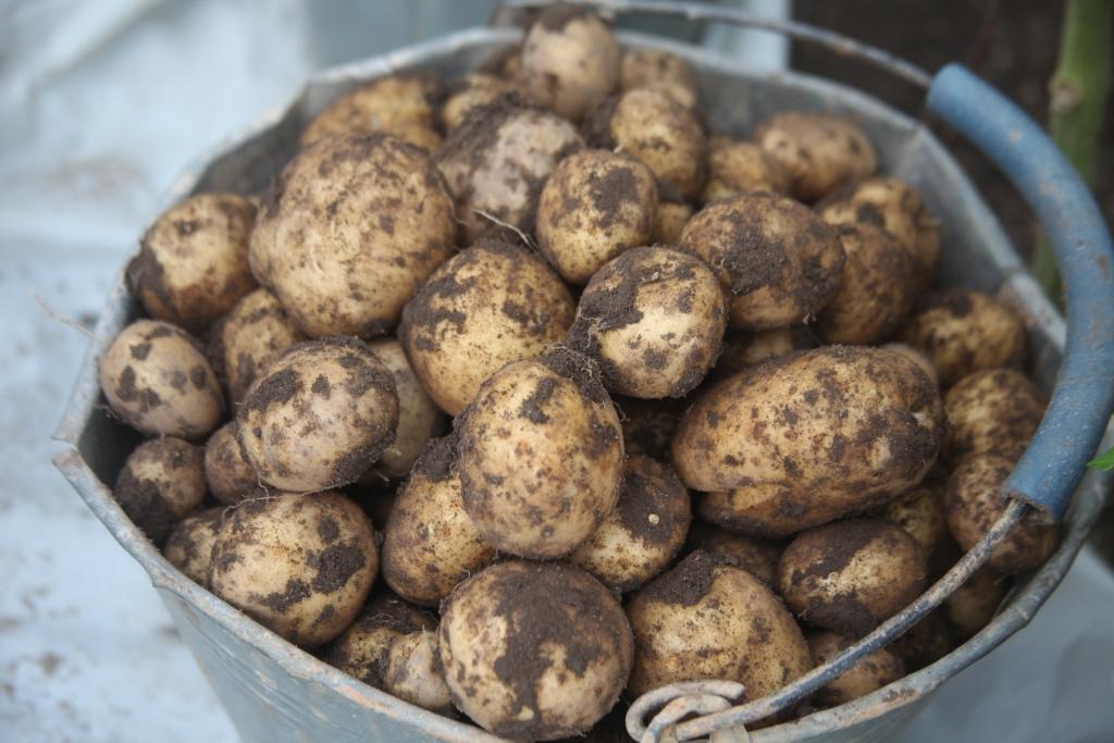 Pateicas par nesavtīgo palīdzību 