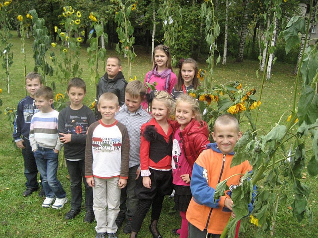 Saulespuķes audzējuši 46 skolēni