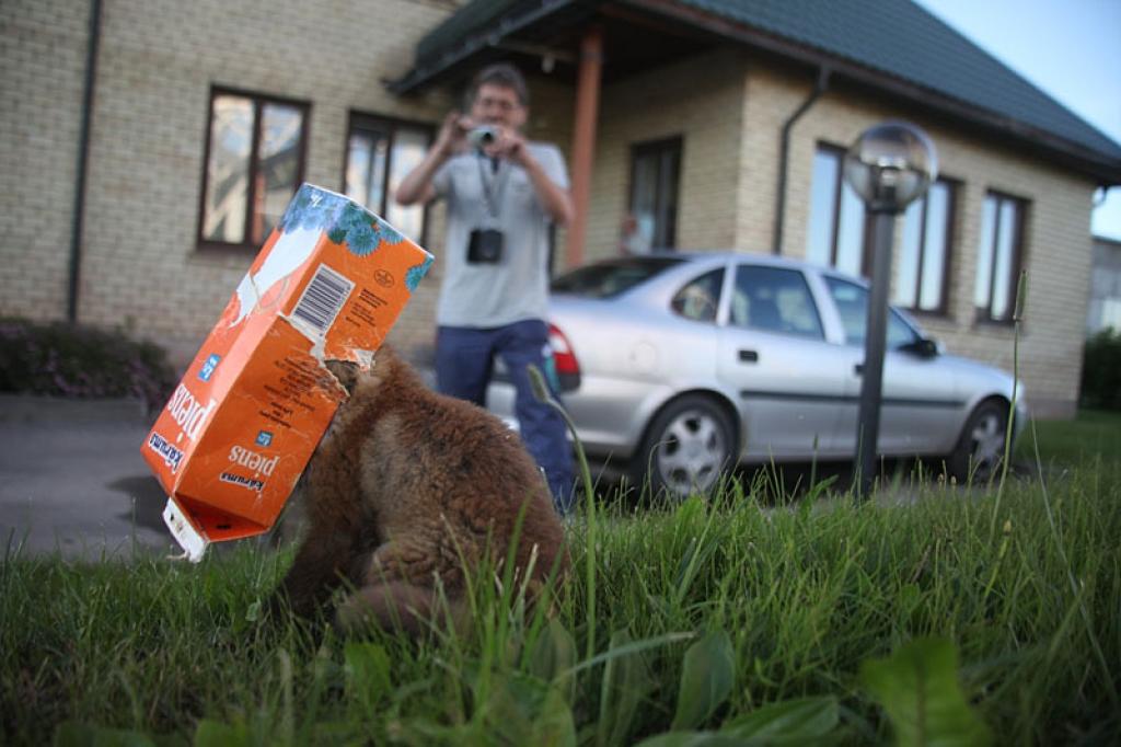 Lapsēns ļauj sevi atbrīvot no piena pakas