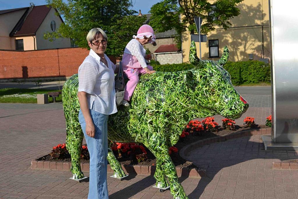 Ventspils gotiņa viesojas arī Gulbene