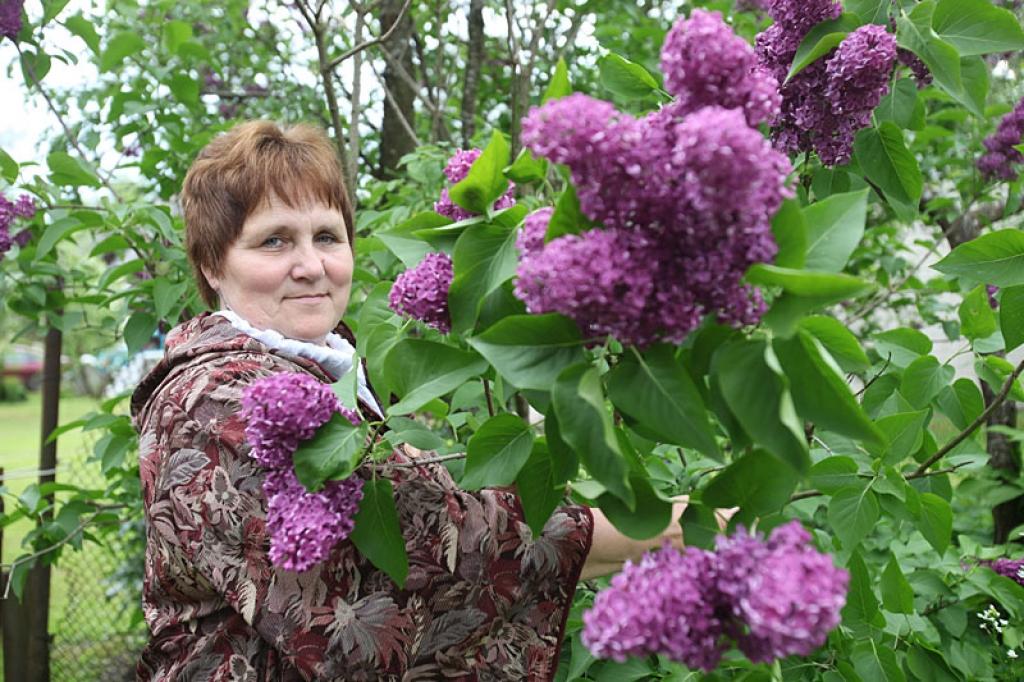 “Dzirkstele" aicina piedalīties konkursā