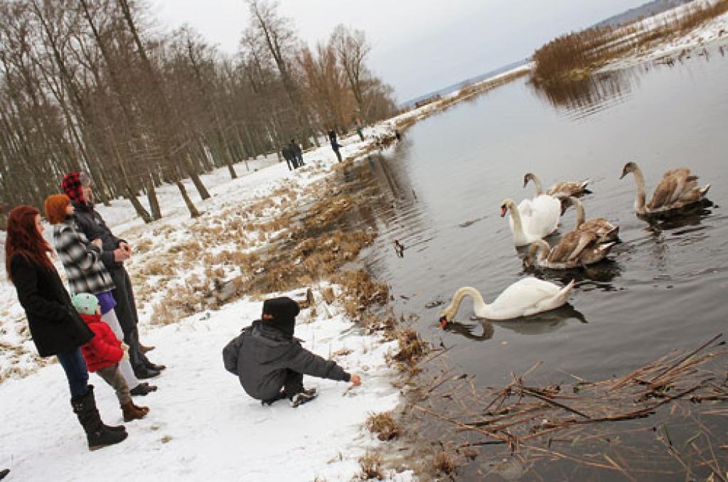 Savs Lāča dārzs un plosta kapteinis 