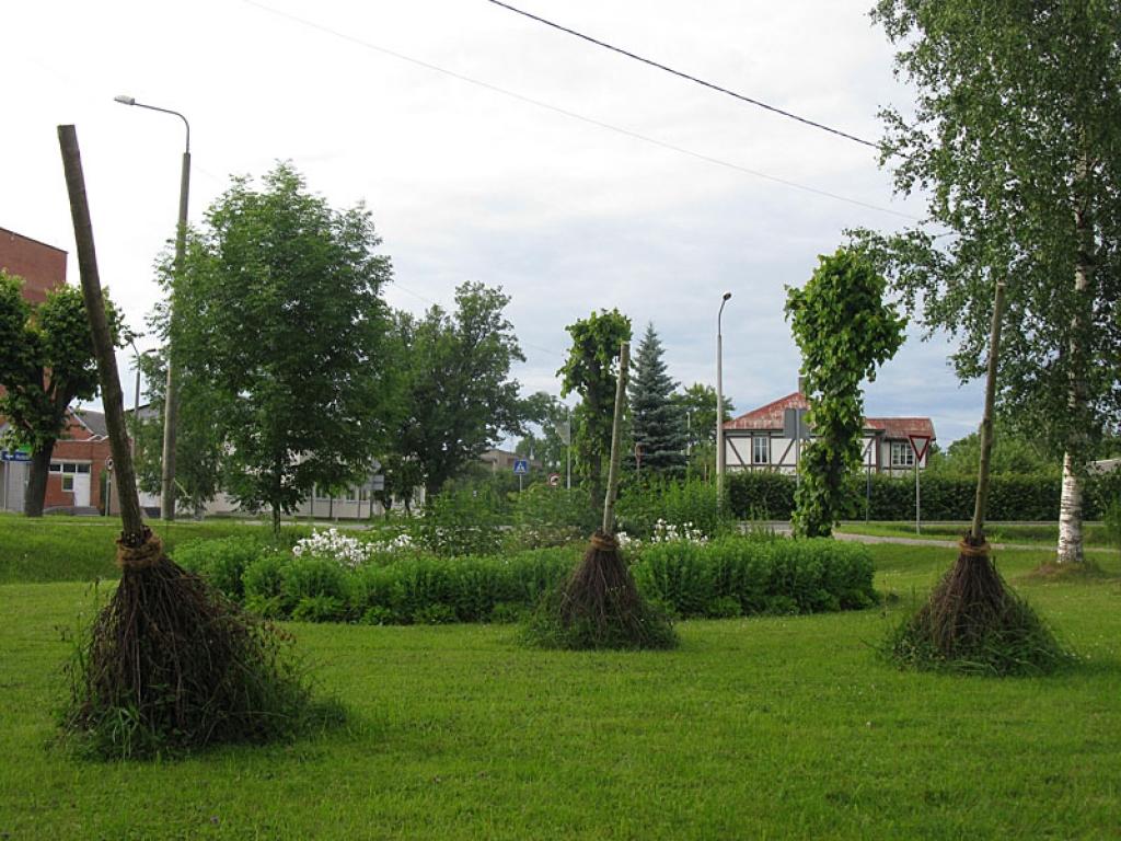 Seniori no Anglijas vasarā rosīsies Gulbenes parkos