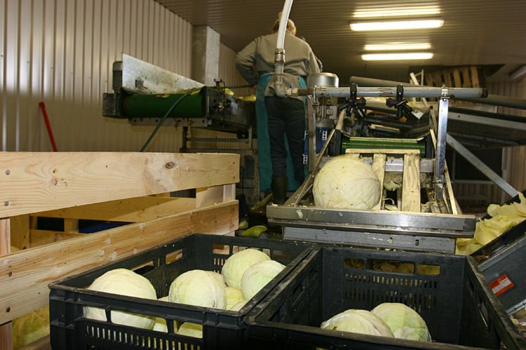 SIA “Dimdiņi Agro” saņem starptautisku sertifikātu