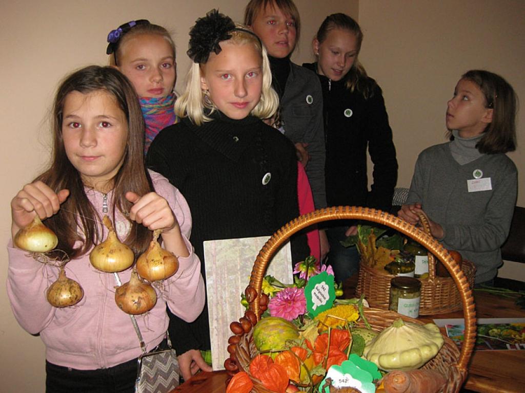 Mazpulcēni rāda paveikto