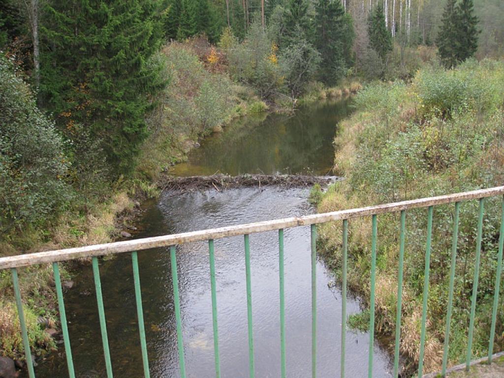 Bebriem jāpievērš lielāka uzmanība