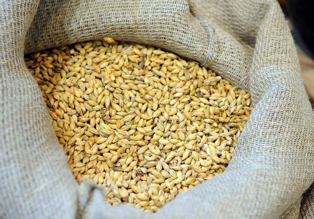 Graudu drāma var beigties ar maksātnespēju