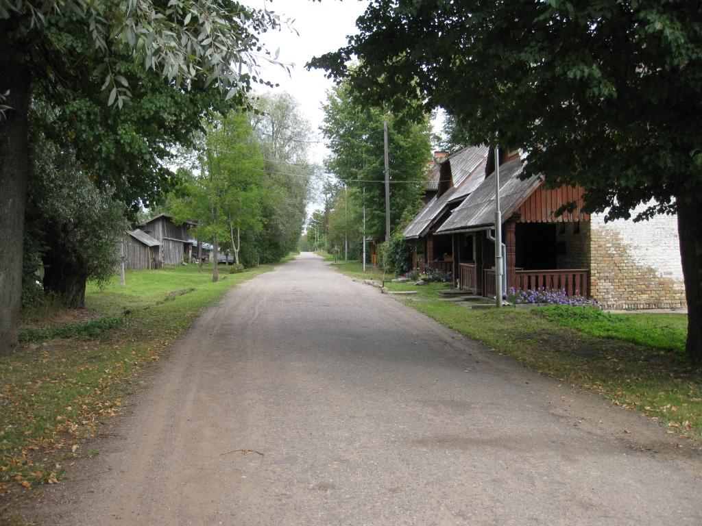 Gulbeniešus uztrauc Viestura ielas stāvoklis