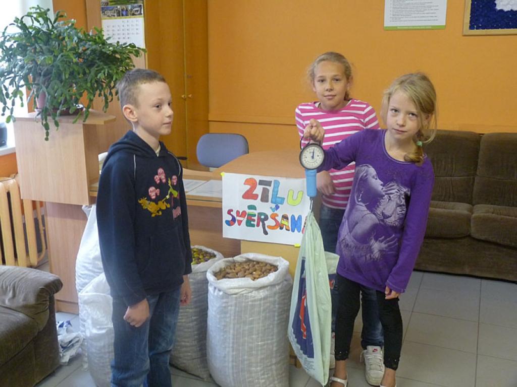 Vāc zīles meža zvēriem