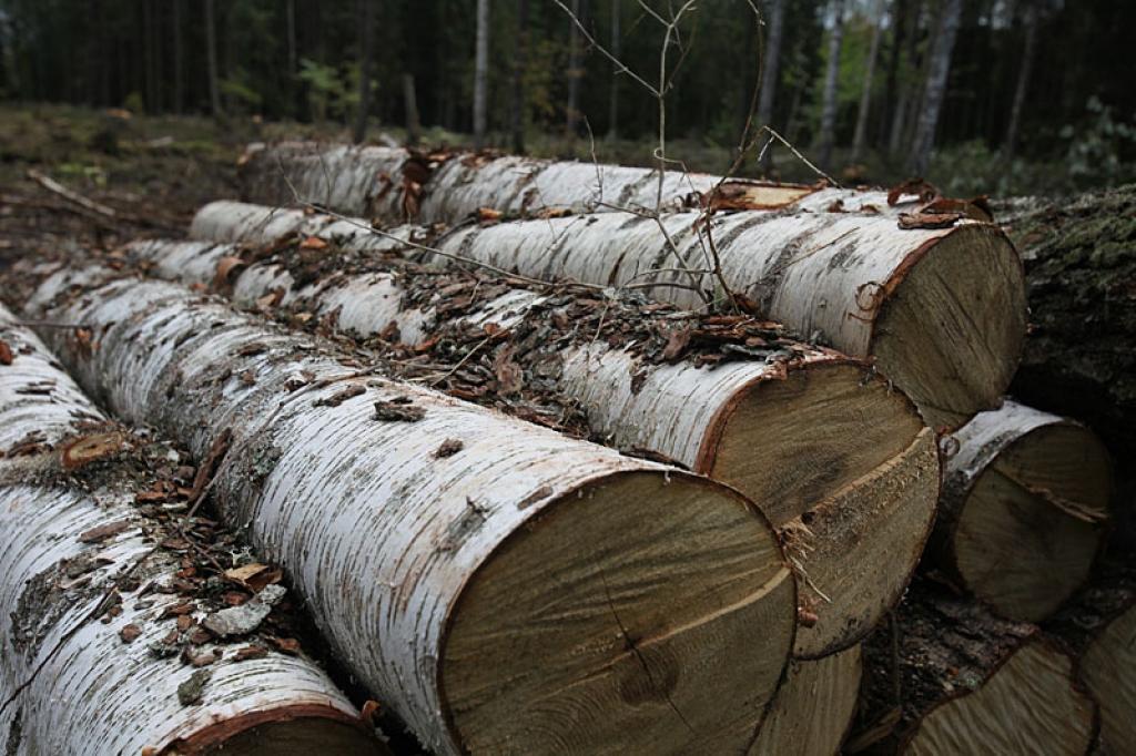 Noskaidro gada veiksmīgākos uzņēmumus novadā