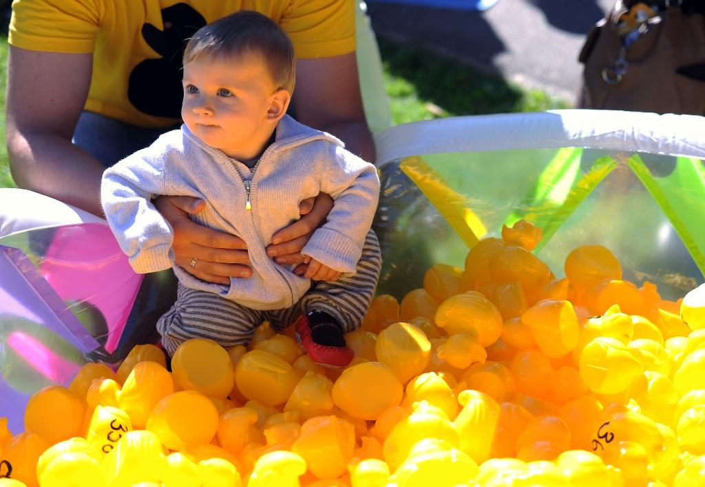 Viņķele: ģimenes pabalstu atkarībā no ienākumiem varētu ieviest 2015. gadā